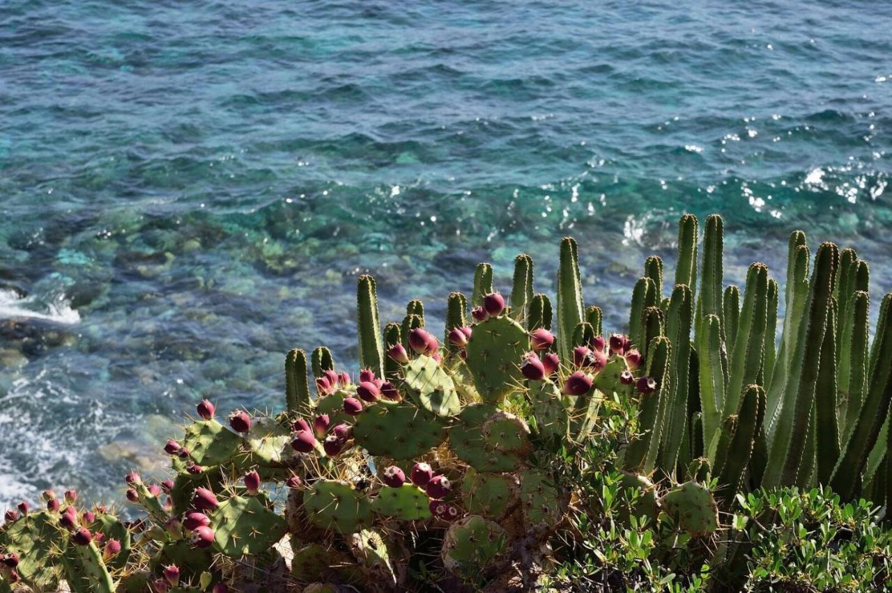 Aparthotel El Cerrito Playa Cancajos.- BreNa Baja  Eksteriør bilde
